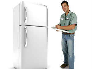 Refrigerator Repair Service in Navada